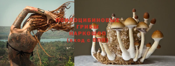 шишки Верхнеуральск